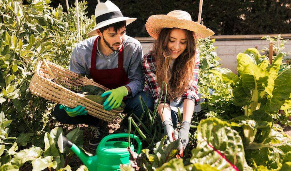 Edible Gardens