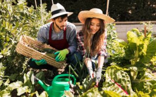 Edible Gardens