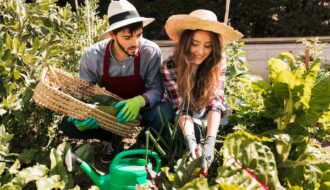 Edible Gardens