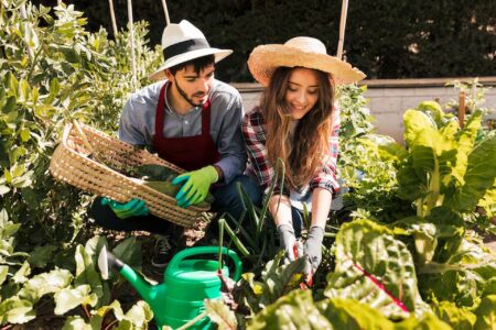 Edible Gardens