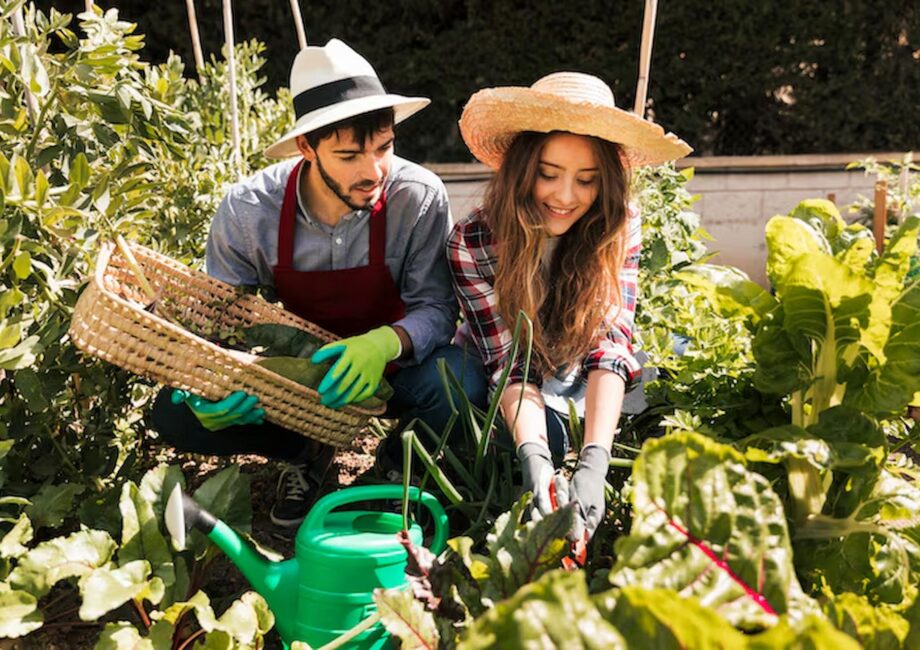 Edible Gardens