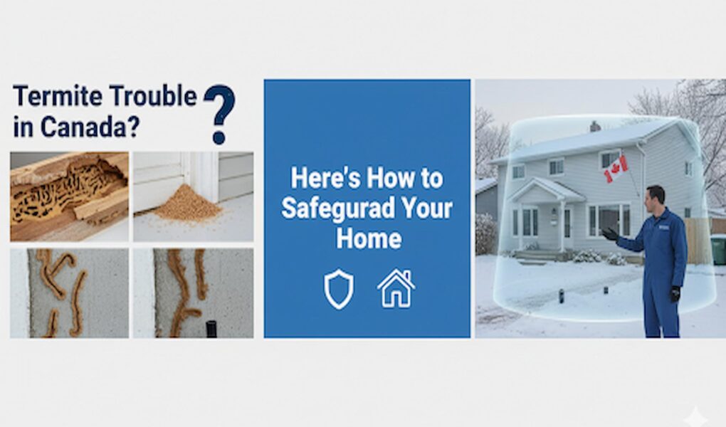 Termite pest control canada