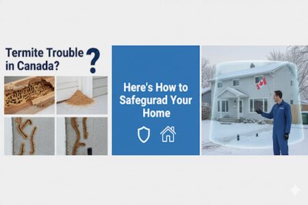 Termite pest control canada