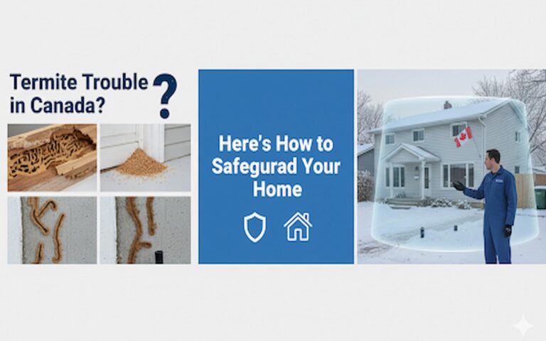 Termite pest control canada