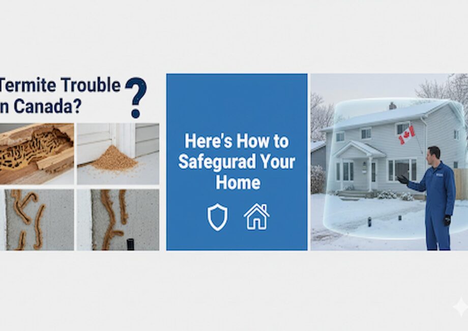 Termite pest control canada